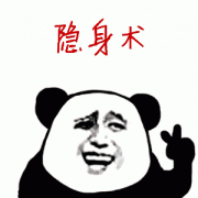 隐身术