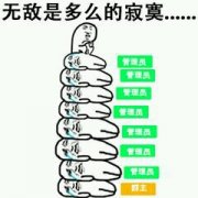 无敌是多么的寂寞&#8230;&#8230;