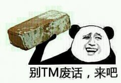 别TM废话，来吧