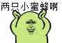 两只小蜜蜂啊