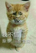 我不信 除非你食屎
