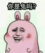 你是兔吗