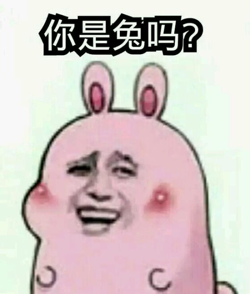 你是兔吗