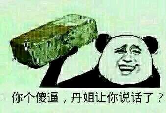 你个傻逼，丹姐让你说话了？