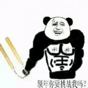 骚年你要挑战我吗？