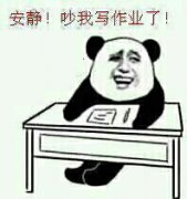 安静 吵我写作业了