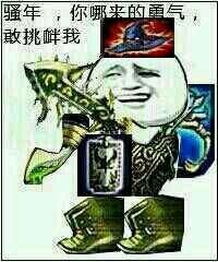 骚年，你哪来的勇气，敢挑衅我