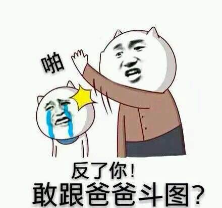 反了你！敢跟爸爸斗图？