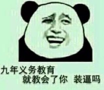 九年义务教育就教会了你装逼吗