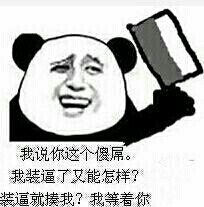 你说你这个傻屌 我装逼了又能怎样? 你说你这个傻屌 我装逼了又能怎样?