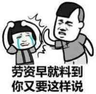 劳资早就料到你又要这样说 劳资早就料到你又要这样说