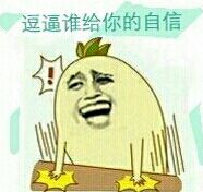 逗逼谁给你的自信