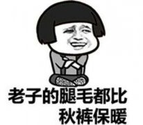 老子的腿毛都比秋裤保暖