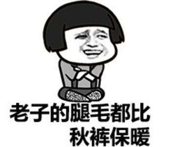 老子的腿毛都比秋裤保暖