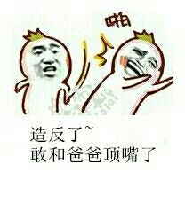 造反了敢和爸爸顶嘴了 造反了敢和爸爸顶嘴了