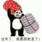 ​过年了，我要回村里了！
