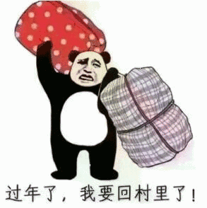 ​过年了，我要回村里了！