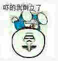 吓的我倒立了