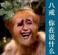 八戒 你在说什么