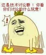 这是技术讨论群！你看你们讨论的什么玩意！