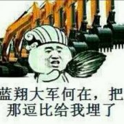 蓝翔大军何在，把那逗比给我埋了