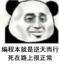编程本就是逆天而行 死在路上很正常 编程本就是逆天而行 死在路上很正常