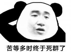 苦等多时终于死群了