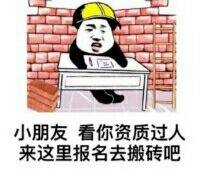 小朋友 看你资质过人来这里报名去搬砖吧