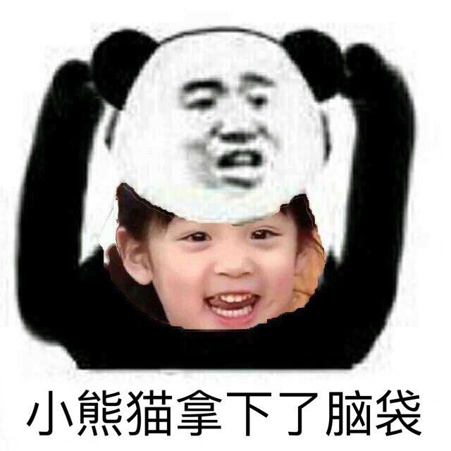 小熊猫拿下了脑袋 小熊猫拿下了脑袋