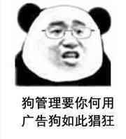 狗管理要你何用 狗管理要你何用