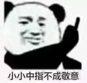 小小中指不成敬意 小小中指不成敬意