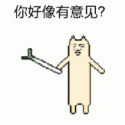 你好像有意见?