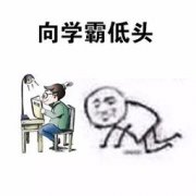 向学霸低头