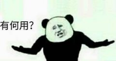 有何用?