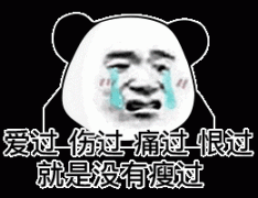 爱过 伤过 痛过 恨过 就是没有瘦过