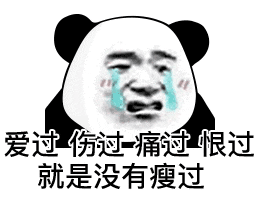 爱过 伤过 痛过 恨过 就是没有瘦过