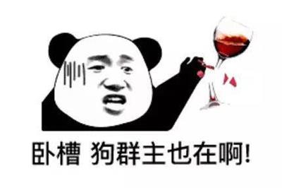 卧槽 狗群主也在啊! 卧槽 狗群主也在啊!