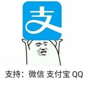支持:微信 支付宝 QQ