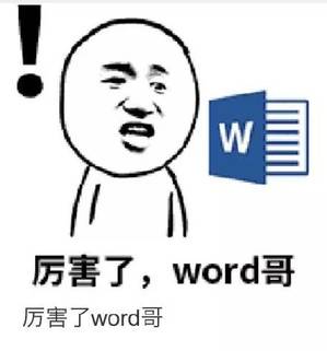 厉害了,word哥 厉害了,word哥