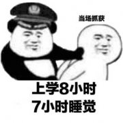 上学8小时 7小时睡觉