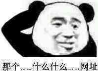 那个&#8230;什么什么&#8230;网址