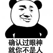 确认过眼神 就你不是人