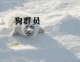 狗群员 狗群员
