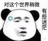 对这个世界稍微有些迷茫