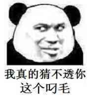 我真的猜不透你这个叼毛 我真的猜不透你这个叼毛