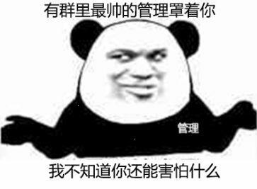 有群里最帅的管理罩着你 有群里最帅的管理罩着你