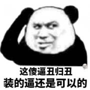 这傻逼丑归丑 装的逼还是可以的