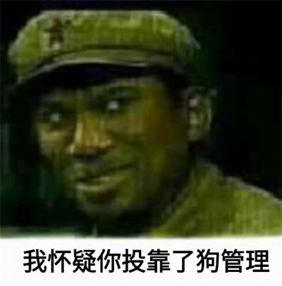 我怀疑你投靠了狗管理 我怀疑你投靠了狗管理
