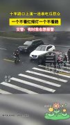 轻松一刻：这么多年，本人抗压能力全靠健忘！