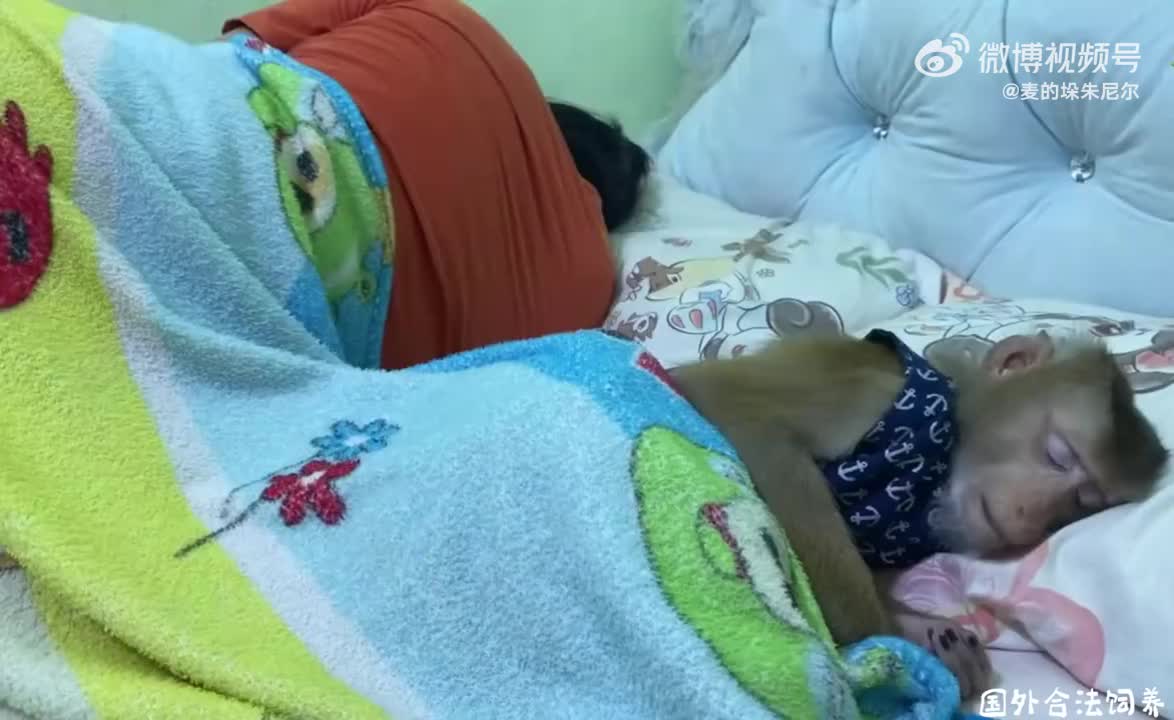 轻松一刻：难以想象，我真的回到了五一假期前一天